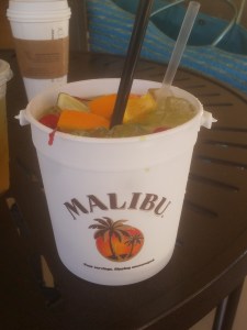 IMG_20150516_135058[1]